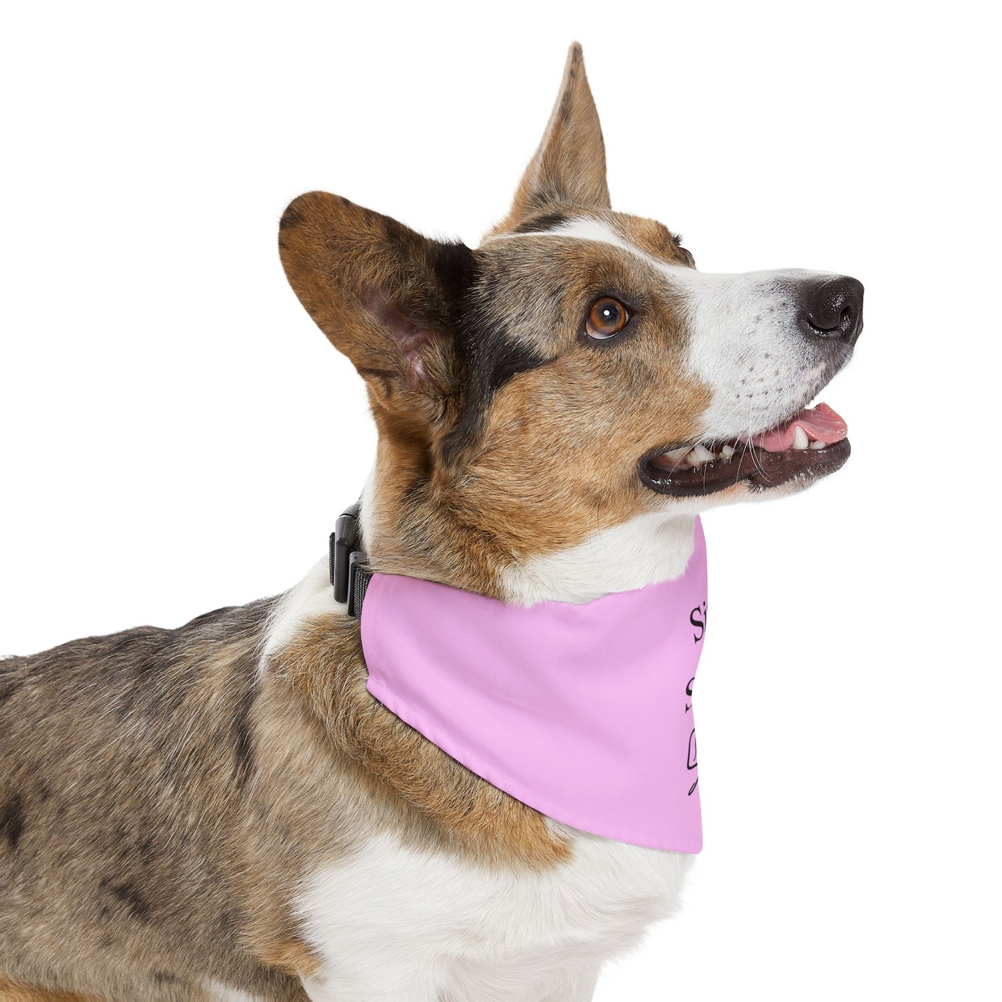 'Sit Stay Slay' - Adjustable Dog Bandana