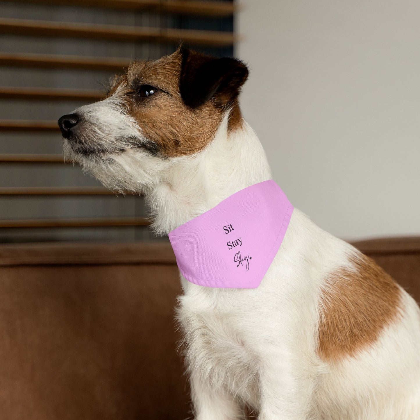 'Sit Stay Slay' - Adjustable Dog Bandana