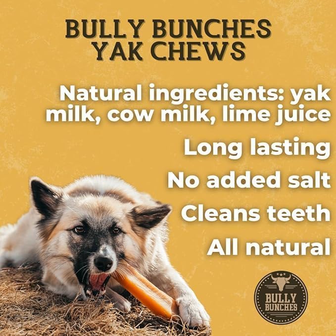 Bully Bunches Premium Flavoured Himalayan Yak Chews for Dogs, 100g, All-Natural, Long-Lasting, Authentic Yak Milk, Healthy Dental Chew, High-Protein, Grain-Free (Medium Variety Pack, 3pc)