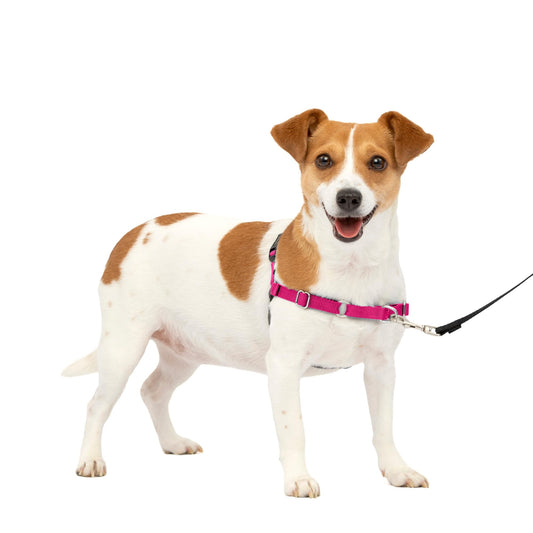 PetSafe Easy Walk No-Pull Dog Harness - The Ultimate Harness to Help Stop Pulling - Take Control & Teach Better Leash Manners - Helps Prevent Pets Pulling on Walks, Medium, Red/Black