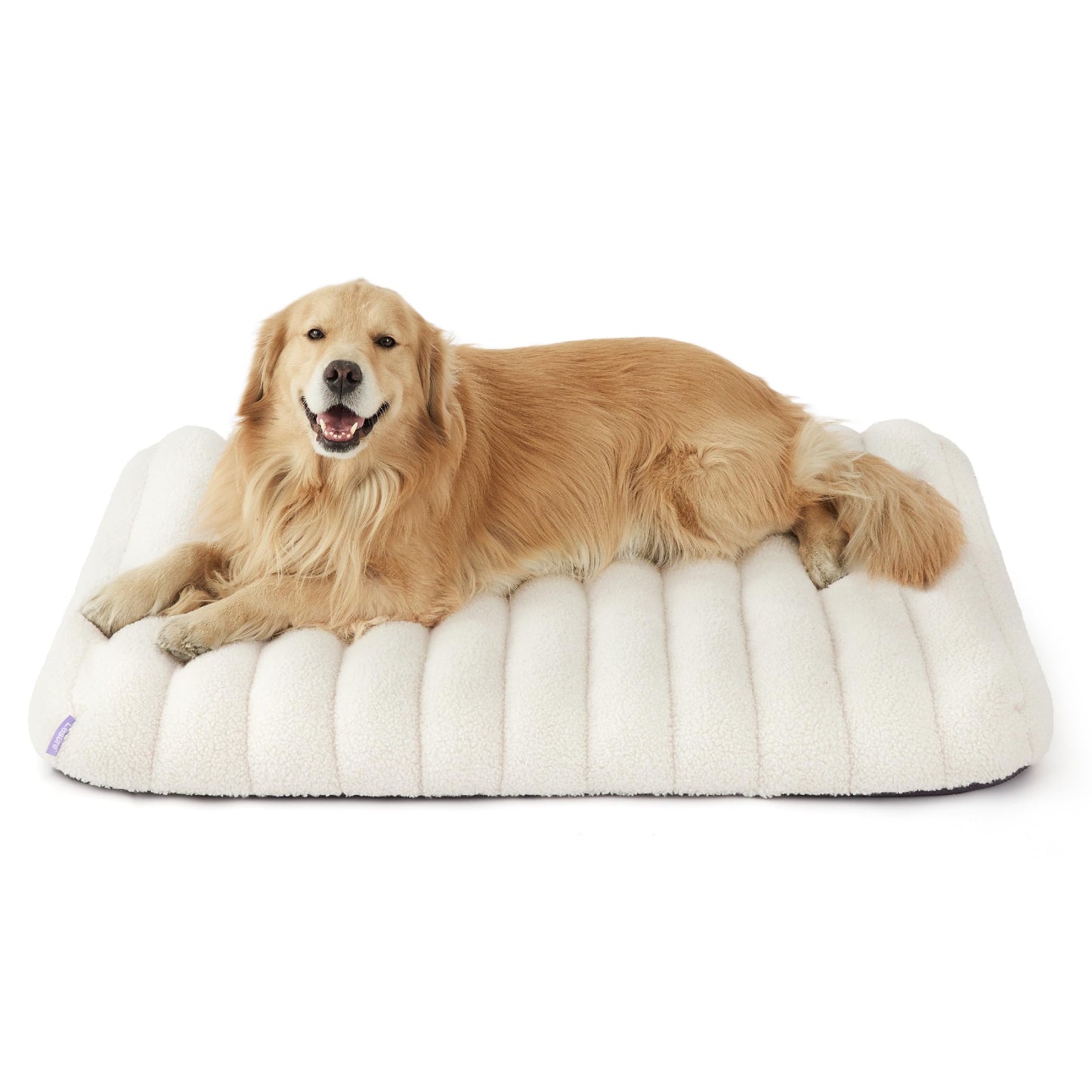 Lesure Cute Orthopedic Dog Bed for Large Dogs, Waterproof Chic Flat Pet Mat with Removable Washable Cover, Fuzzy Thick Egg Crate Foam Pet Mattress for Indoor Use (36" x 27", Cream)