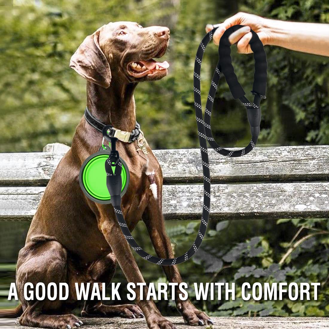 COOYOO 2 Pack Dog Leash 2/5/6 FT Heavy Duty - Comfortable Padded Handle - Reflective Dog Leash for Medium Large Dogs with Collapsible Pet Bowl