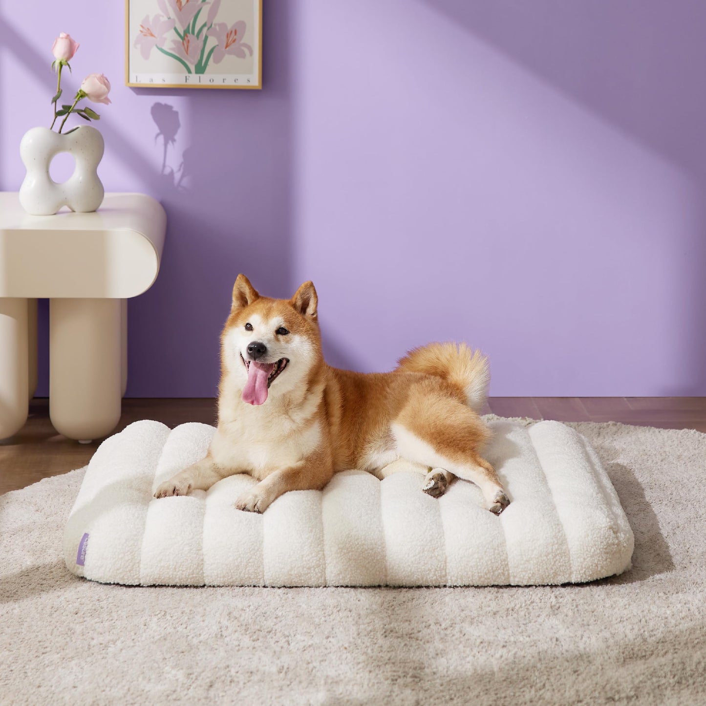 Lesure Cute Orthopedic Dog Bed for Large Dogs, Waterproof Chic Flat Pet Mat with Removable Washable Cover, Fuzzy Thick Egg Crate Foam Pet Mattress for Indoor Use (36" x 27", Cream)