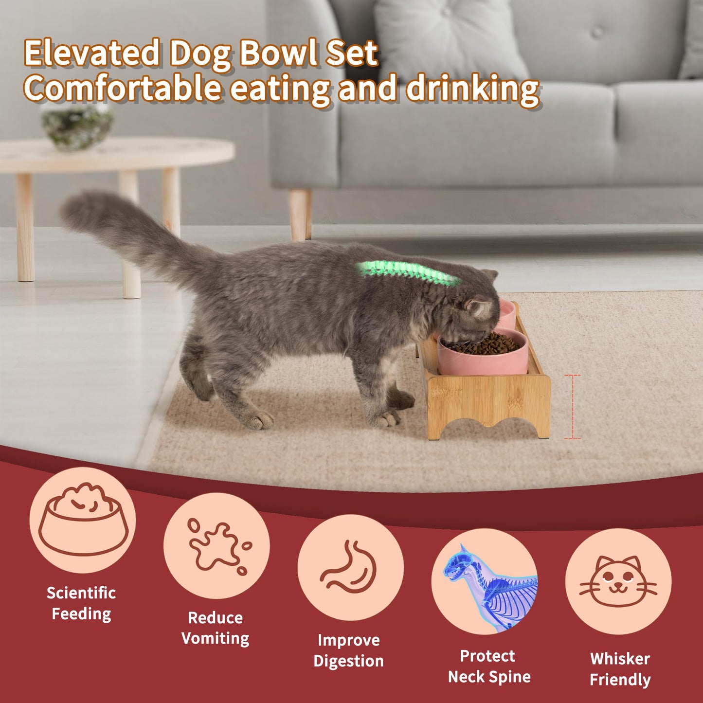 Elevated Ceramic Dog Bowl Set - Double Dog Bowls with Bamboo Stand Anti Vomiting - Raised Dog Food and Water Bowl Set - Small Dog Feeding Bowls - Pet Dishes for Cats and Puppies - 16.23 OZ - 2 Cups