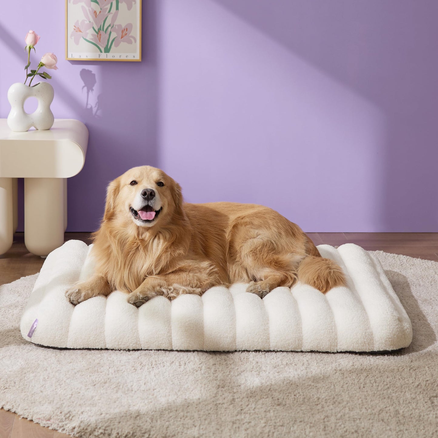 Lesure Cute Orthopedic Dog Bed for Large Dogs, Waterproof Chic Flat Pet Mat with Removable Washable Cover, Fuzzy Thick Egg Crate Foam Pet Mattress for Indoor Use (36" x 27", Cream)