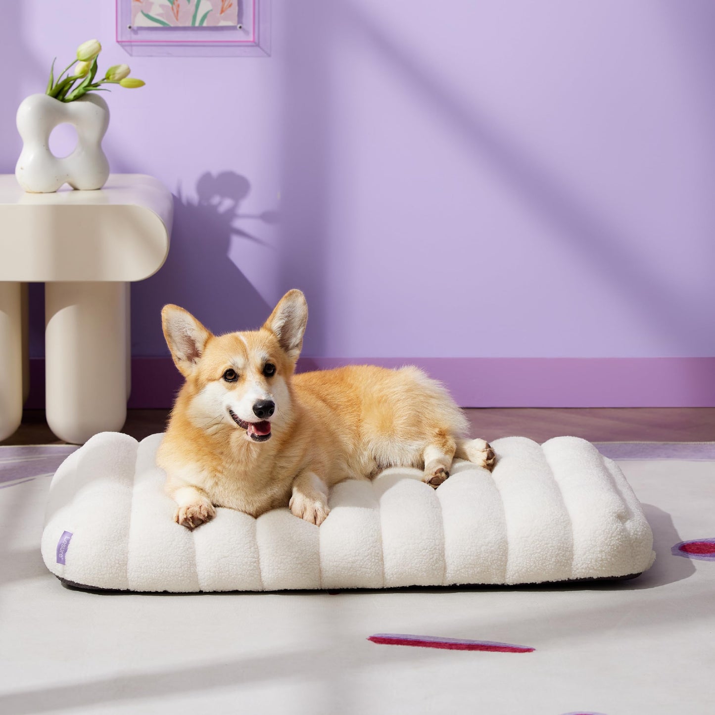 Lesure Cute Orthopedic Dog Bed for Large Dogs, Waterproof Chic Flat Pet Mat with Removable Washable Cover, Fuzzy Thick Egg Crate Foam Pet Mattress for Indoor Use (36" x 27", Cream)