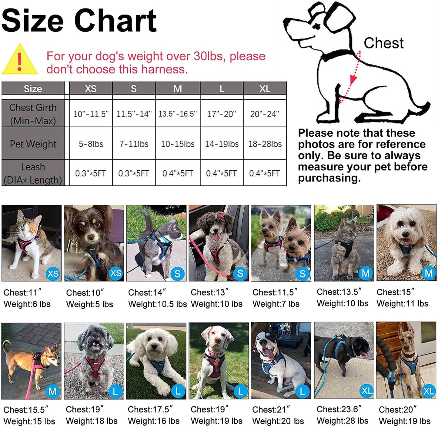 Dog Harness Step-in Breathable Puppy Cat Dog Vest Harnesses for Small Medium Dogs Beige