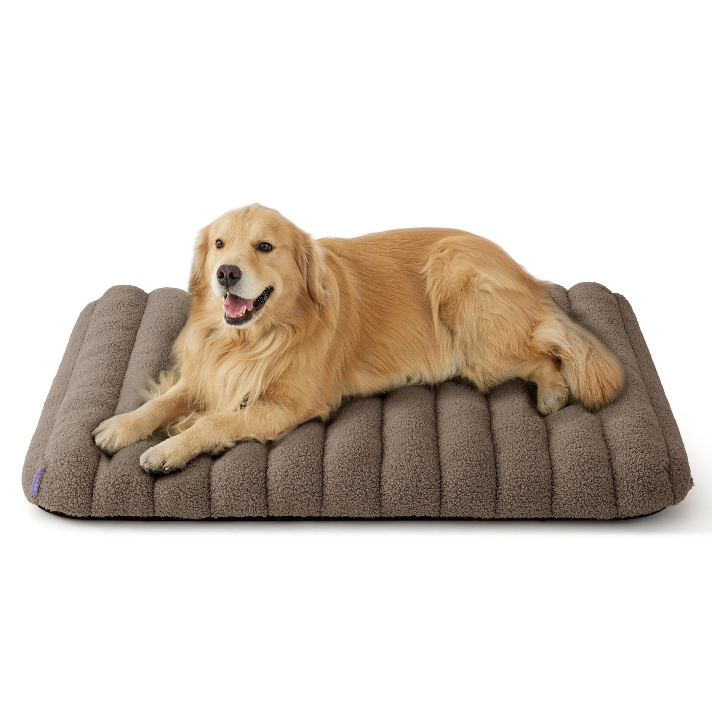 Lesure Cute Orthopedic Dog Bed for Large Dogs, Waterproof Chic Flat Pet Mat with Removable Washable Cover, Fuzzy Thick Egg Crate Foam Pet Mattress for Indoor Use (36" x 27", Cream)