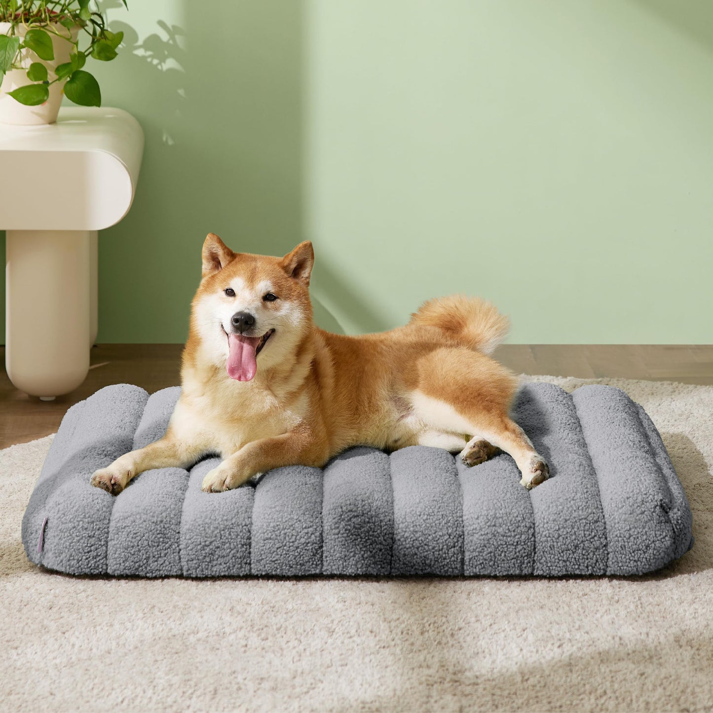 Lesure Cute Orthopedic Dog Bed for Large Dogs, Waterproof Chic Flat Pet Mat with Removable Washable Cover, Fuzzy Thick Egg Crate Foam Pet Mattress for Indoor Use (36" x 27", Cream)