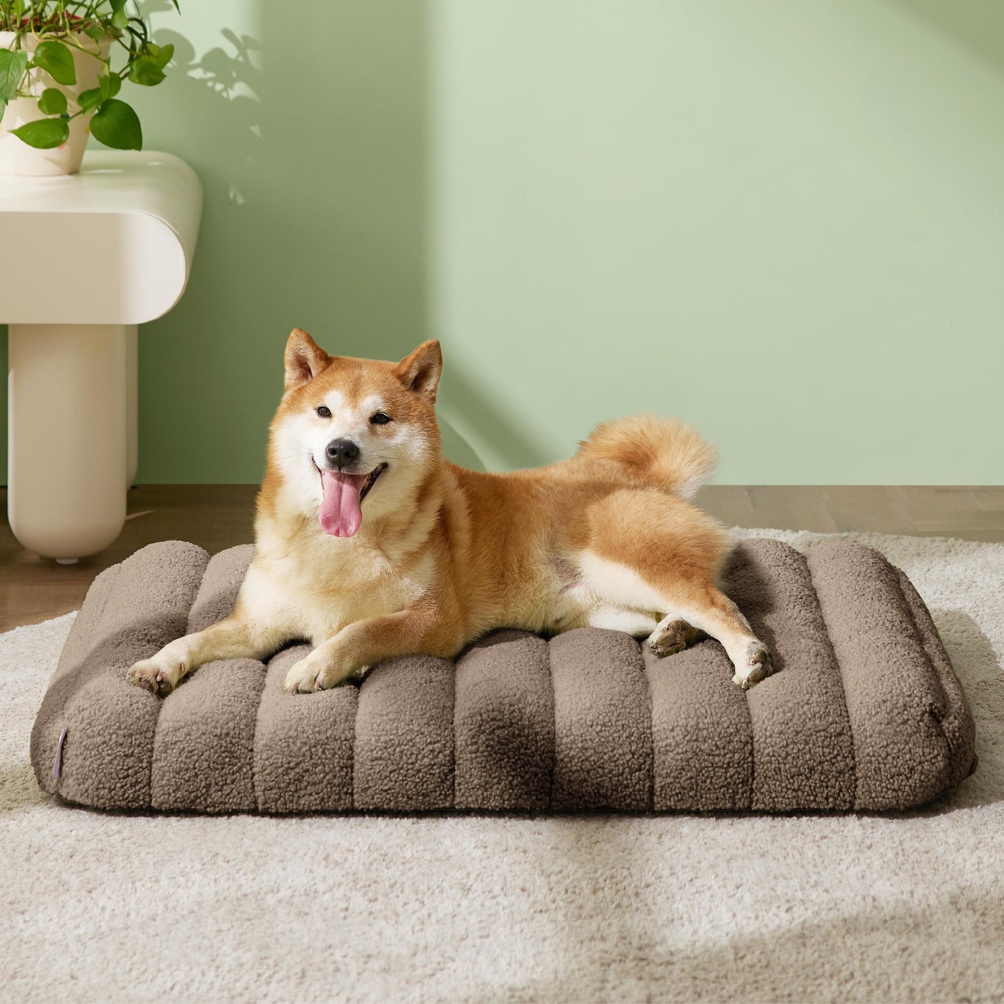 Lesure Cute Orthopedic Dog Bed for Large Dogs, Waterproof Chic Flat Pet Mat with Removable Washable Cover, Fuzzy Thick Egg Crate Foam Pet Mattress for Indoor Use (36" x 27", Cream)