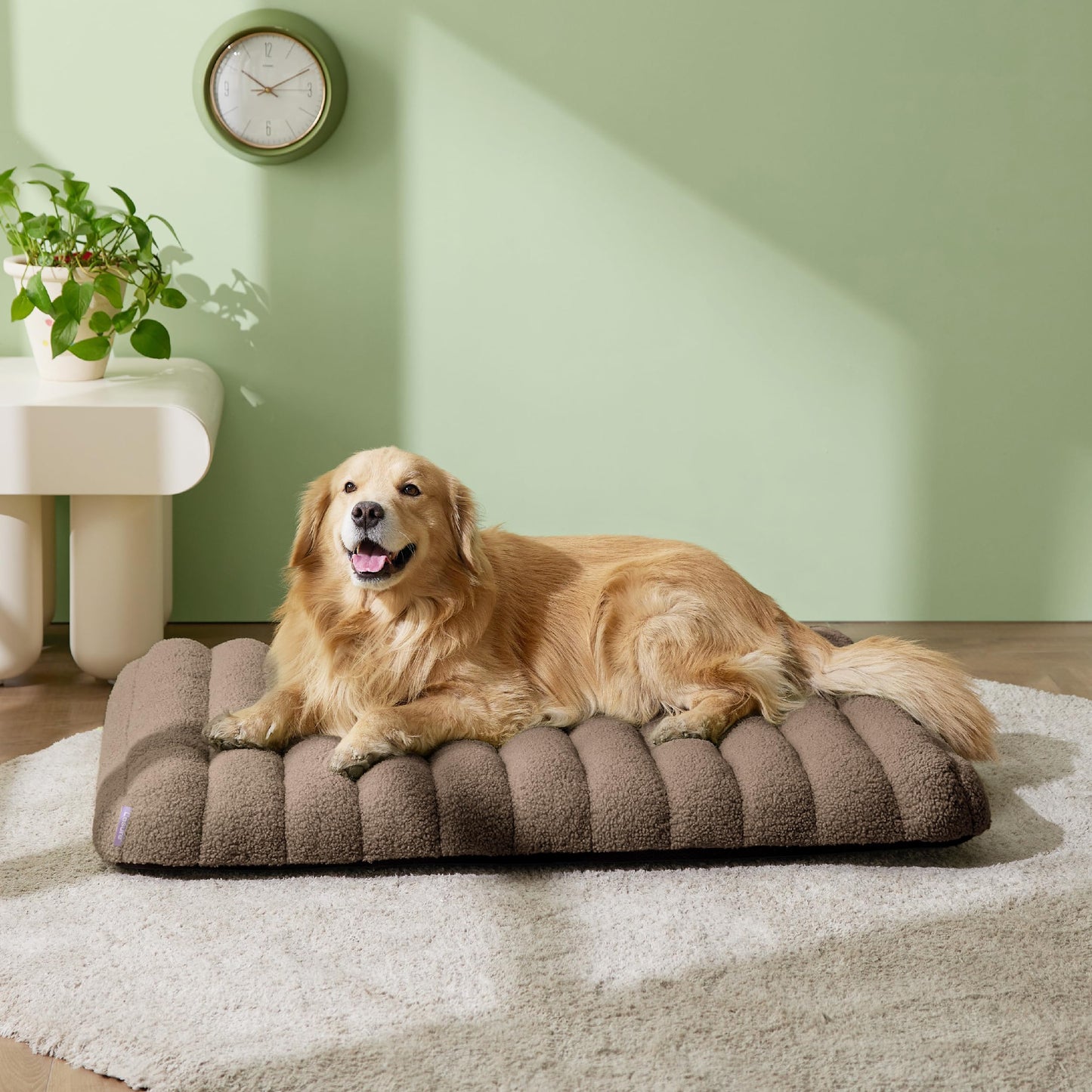 Lesure Cute Orthopedic Dog Bed for Large Dogs, Waterproof Chic Flat Pet Mat with Removable Washable Cover, Fuzzy Thick Egg Crate Foam Pet Mattress for Indoor Use (36" x 27", Cream)