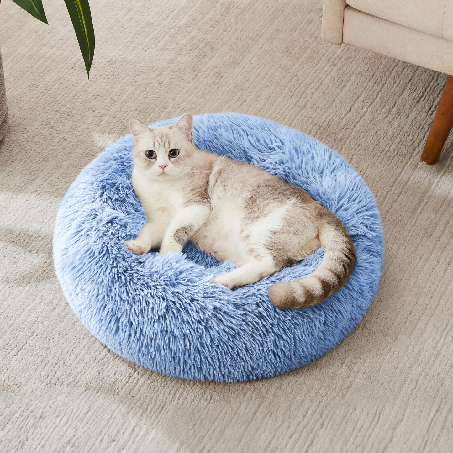 WESTERN HOME WH Calming Dog & Cat Bed, Anti-Anxiety Donut Cuddler Warming Cozy Soft Round Bed, Fluffy Faux Fur Plush Cushion Bed for Small Medium Dogs and Cats (20"/24"/27"/30")