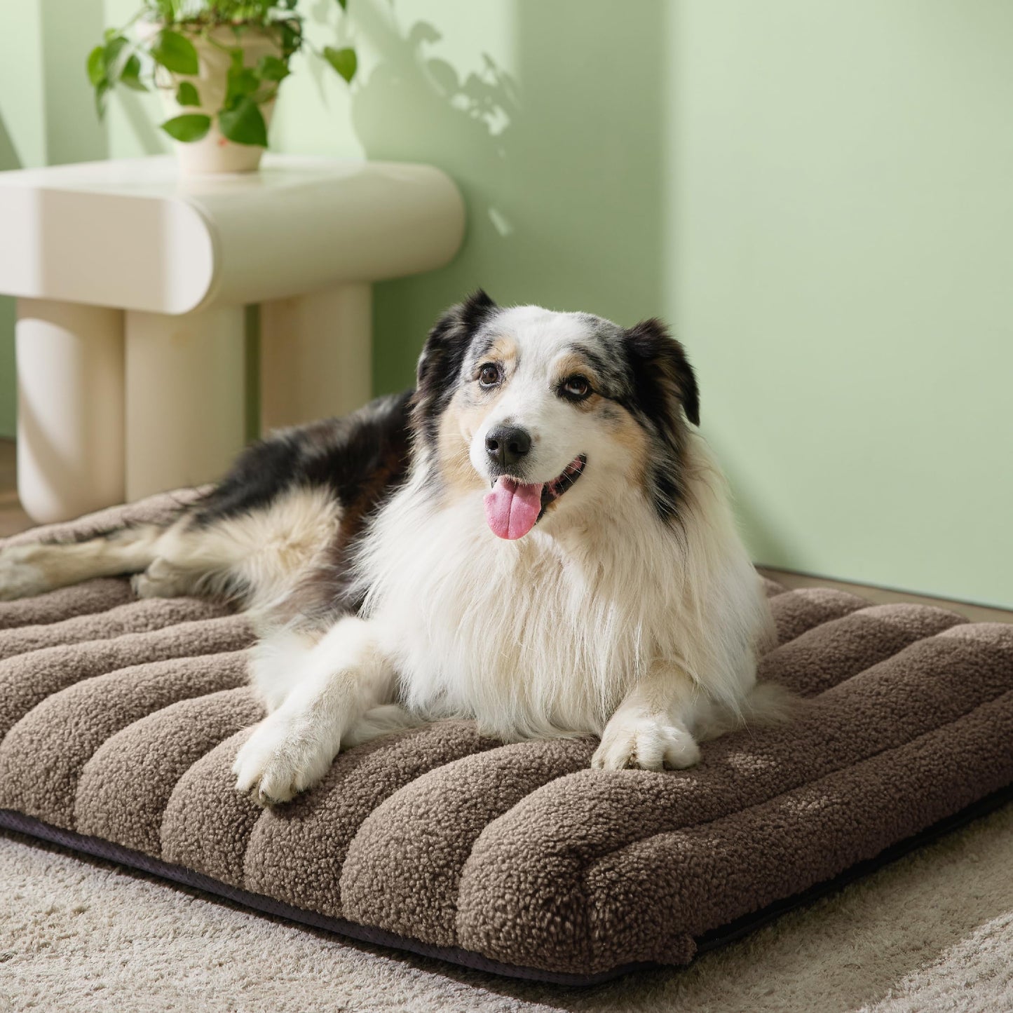 Lesure Cute Orthopedic Dog Bed for Large Dogs, Waterproof Chic Flat Pet Mat with Removable Washable Cover, Fuzzy Thick Egg Crate Foam Pet Mattress for Indoor Use (36" x 27", Cream)