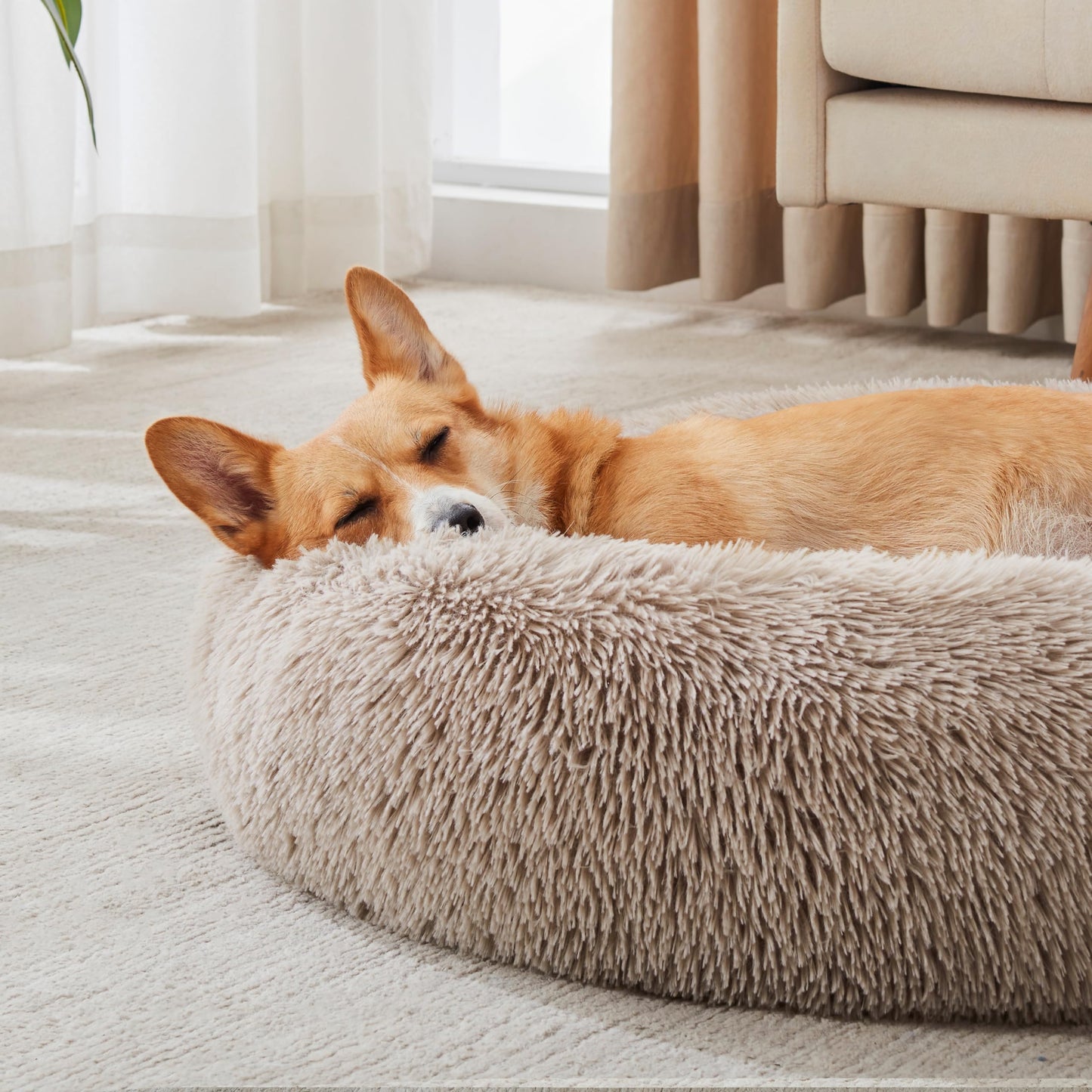 WESTERN HOME WH Calming Dog & Cat Bed, Anti-Anxiety Donut Cuddler Warming Cozy Soft Round Bed, Fluffy Faux Fur Plush Cushion Bed for Small Medium Dogs and Cats (20"/24"/27"/30")