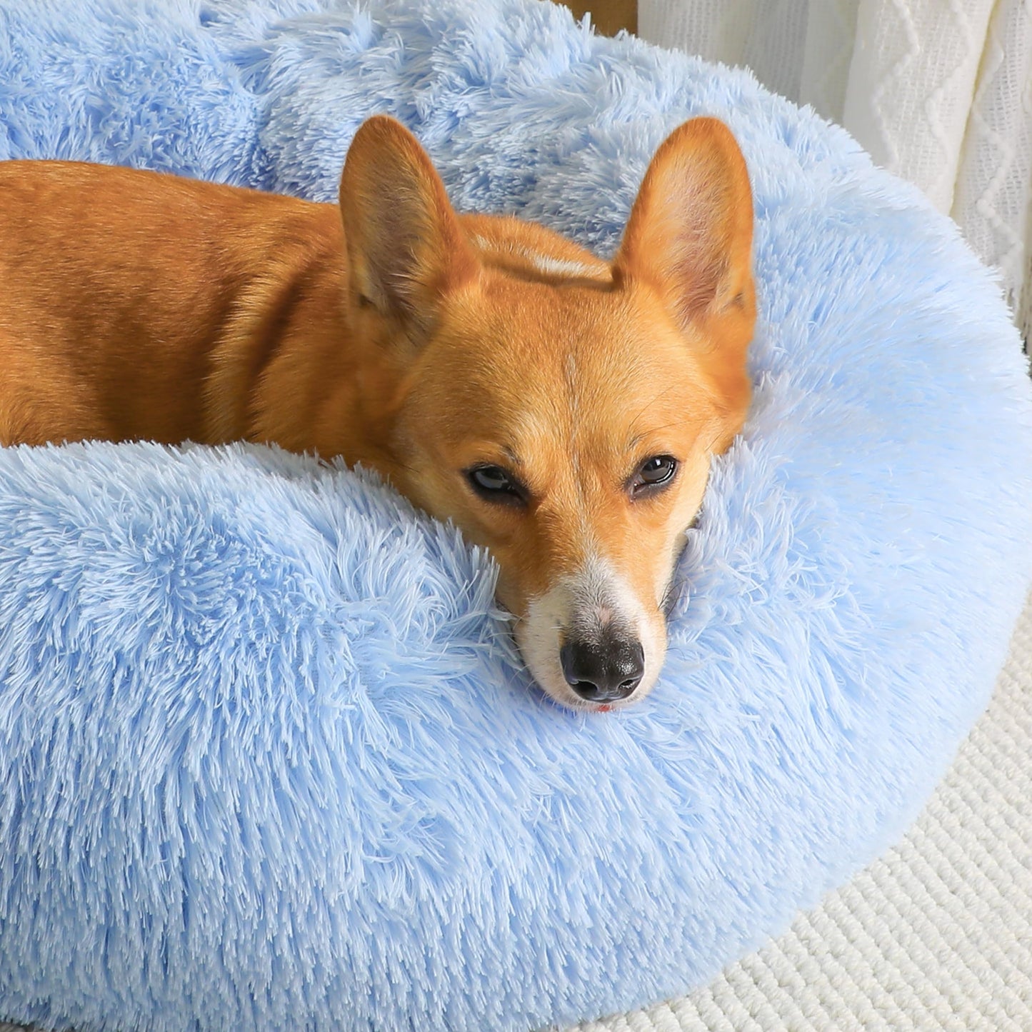 WESTERN HOME WH Calming Dog & Cat Bed, Anti-Anxiety Donut Cuddler Warming Cozy Soft Round Bed, Fluffy Faux Fur Plush Cushion Bed for Small Medium Dogs and Cats (20"/24"/27"/30")