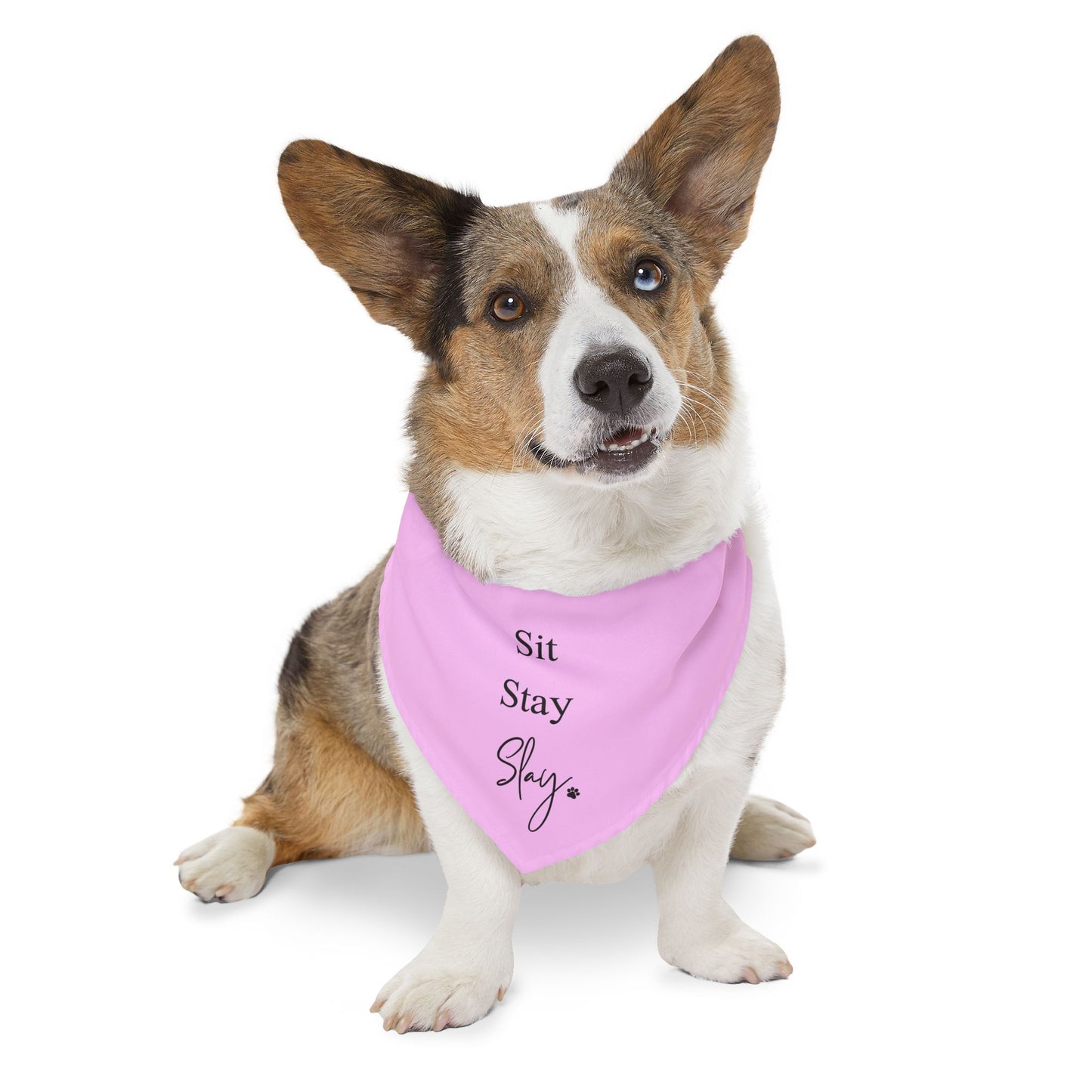 'Sit Stay Slay' - Adjustable Dog Bandana