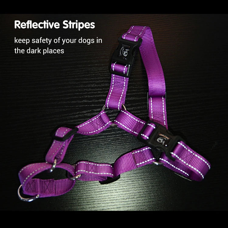 Easy Control Dog Harness