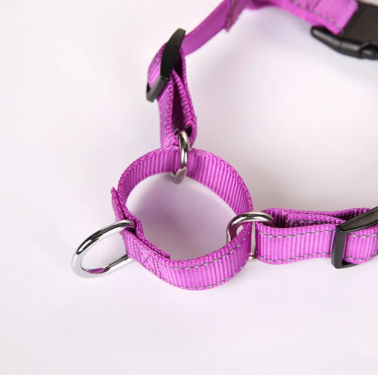 Easy Control Dog Harness