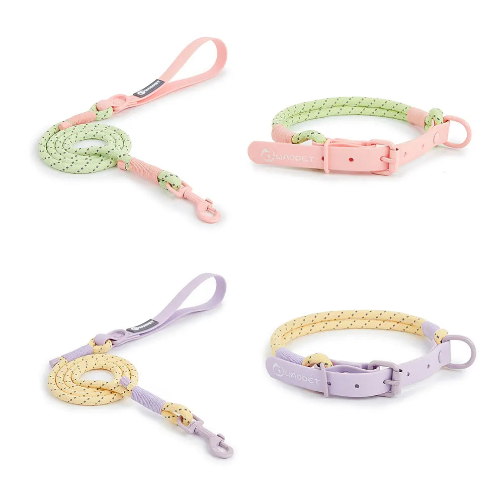 Pastel Braided Leash & Collar Set