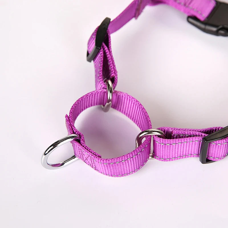 Easy Control Dog Harness