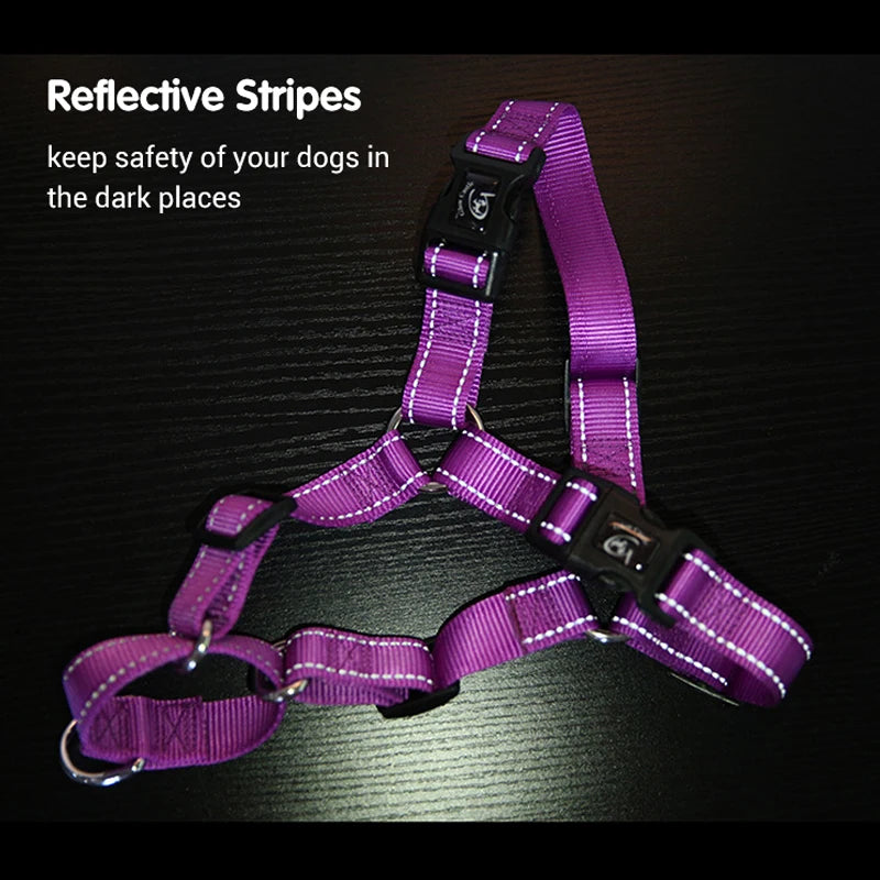 Easy Control Dog Harness