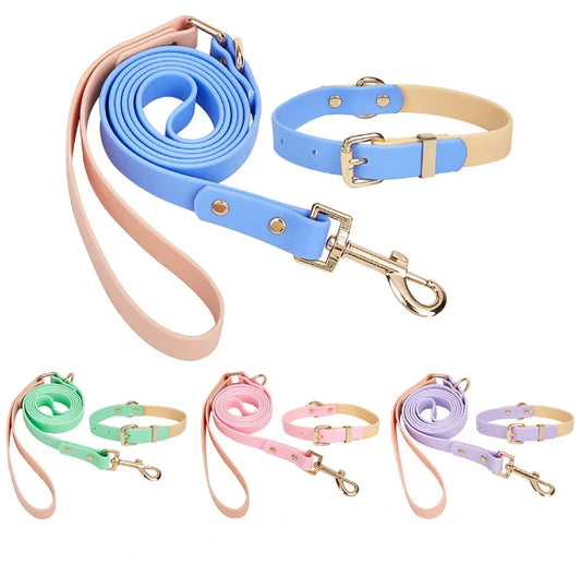 Waterproof Collar & Leash Set