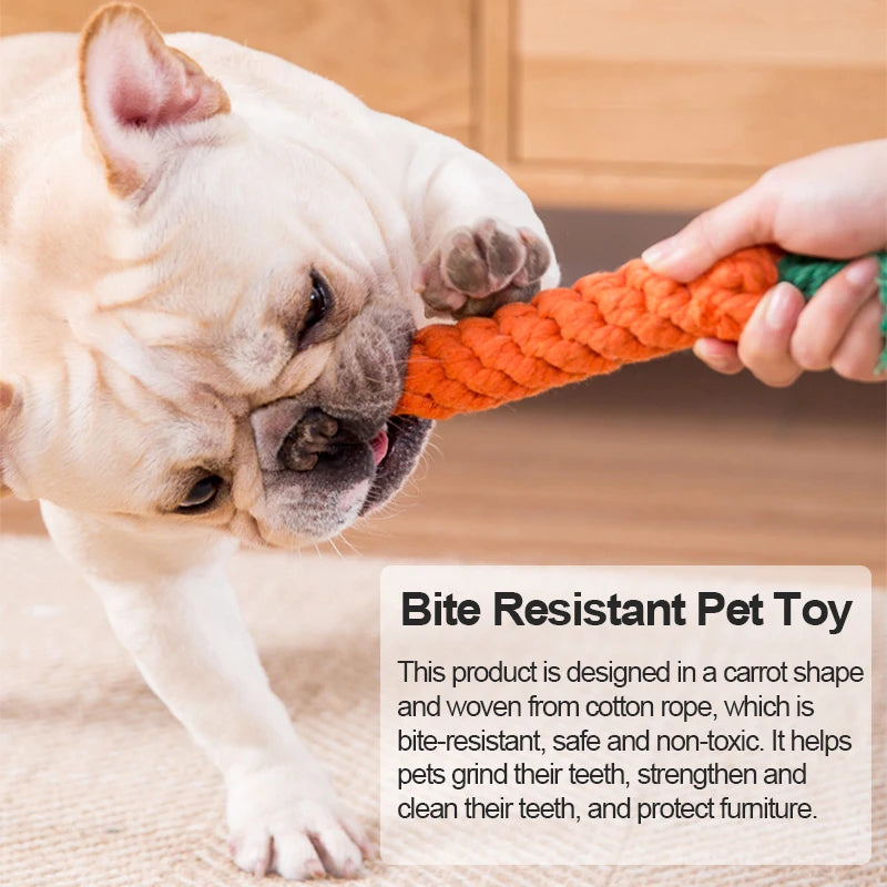 Carrot Rope Dog Toy