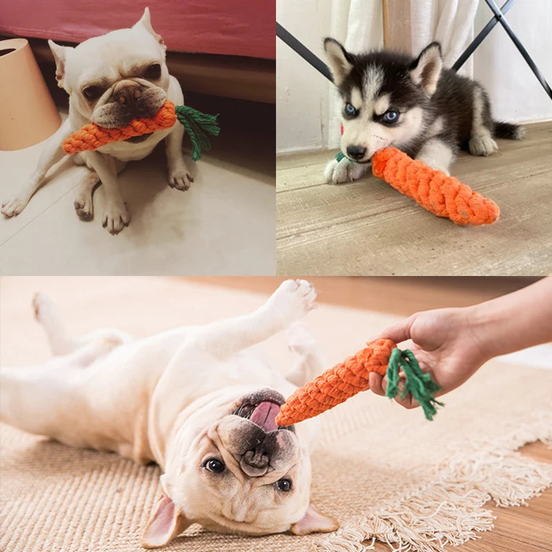 Carrot Rope Dog Toy