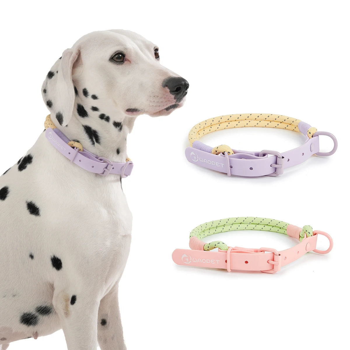 Pastel Braided Leash & Collar Set